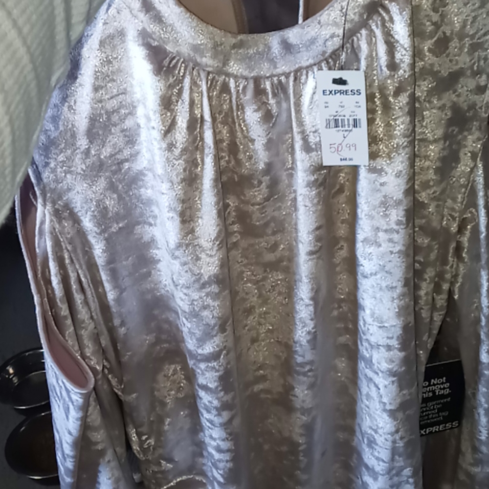 Express brand Long sleeve beige velvet dress